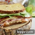 Ham and Turkey Sandwich Recipe: Savory Layered Deli Sandwich 5 Ham and Turkey Sandwich with lots of toppings