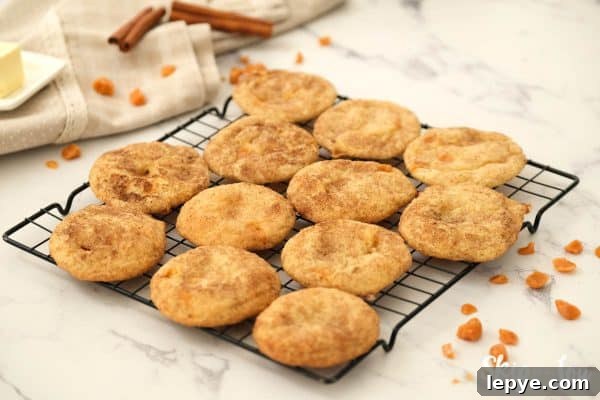 Chewy Toffee Doodle Cookie Recipe for Perfect Crunch and Flavor 5 Toffee Doodle Cookies cooling on a wire rack. -Skip To My Lou