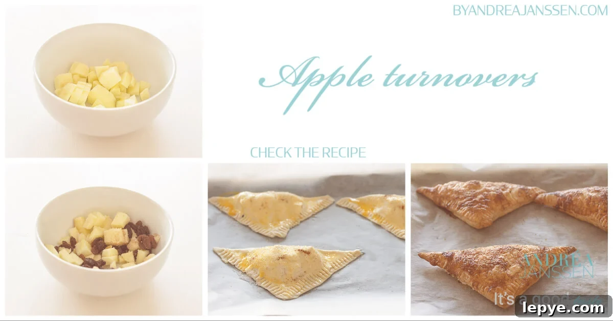Dutch Appelflappen (Apple Turnovers) — Traditional Recipe & Tips 4 apple turnovers