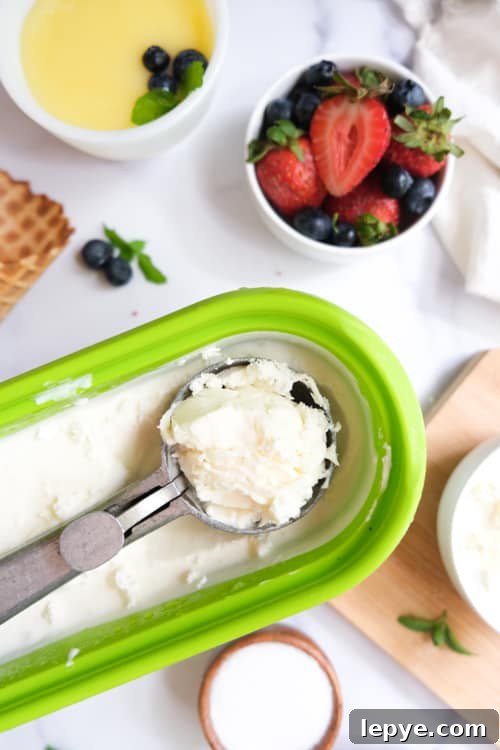 Ice cream and scoop in container
