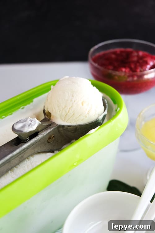 Ice cream scoop and container
