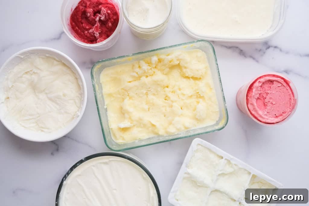 Ice Cream samples