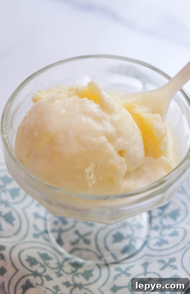Gelato in cup