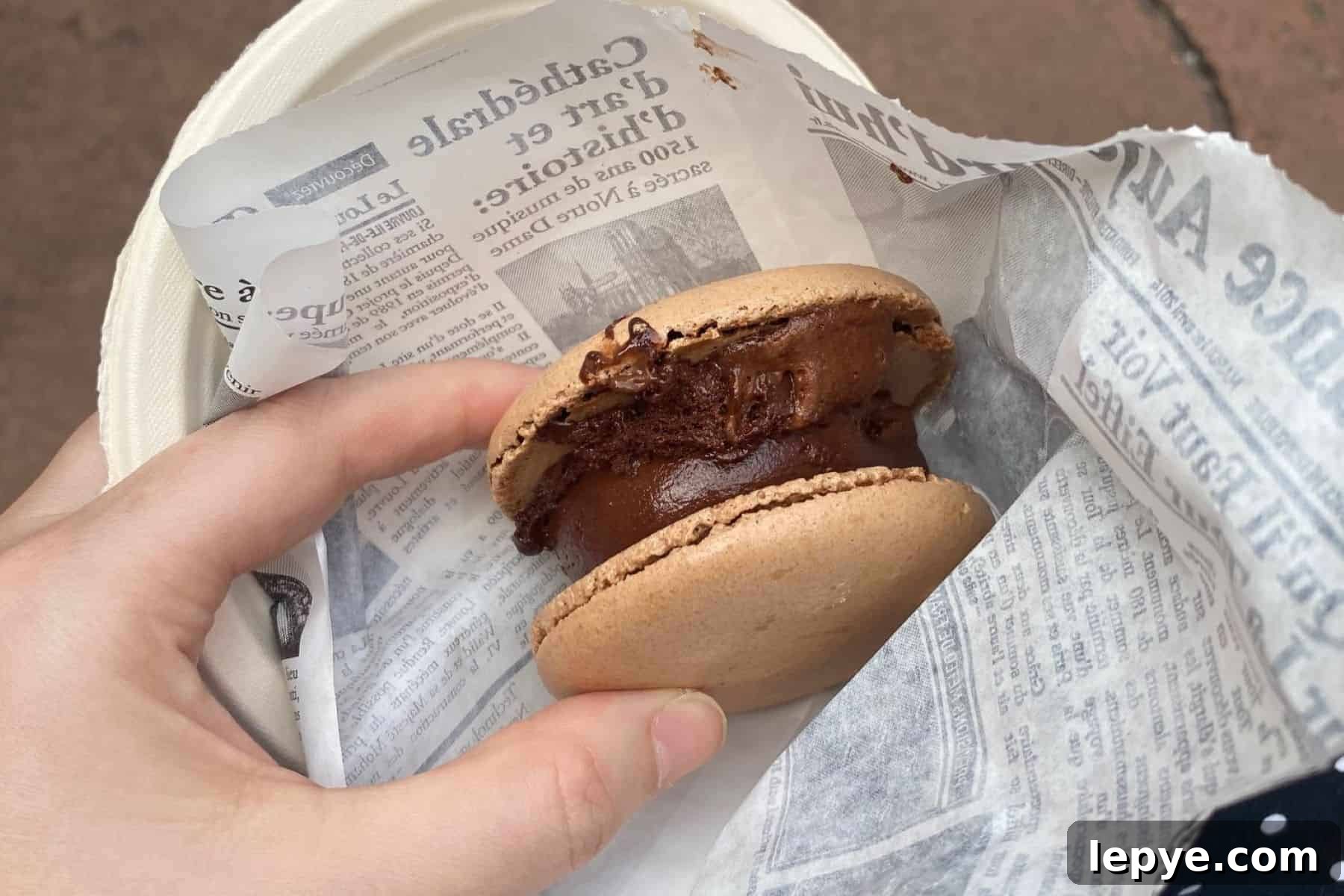 L'Artisan des Glaces macaron ice cream sandwich
