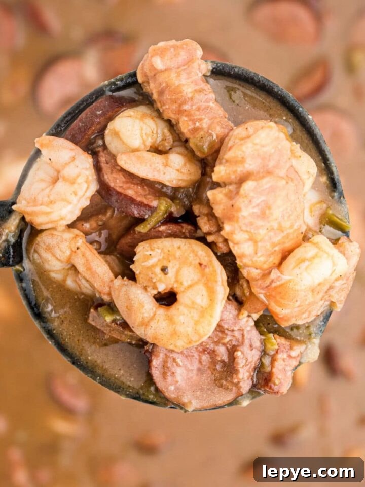a ladle full of alligator gumbo - with shrimp alligator and sausage
