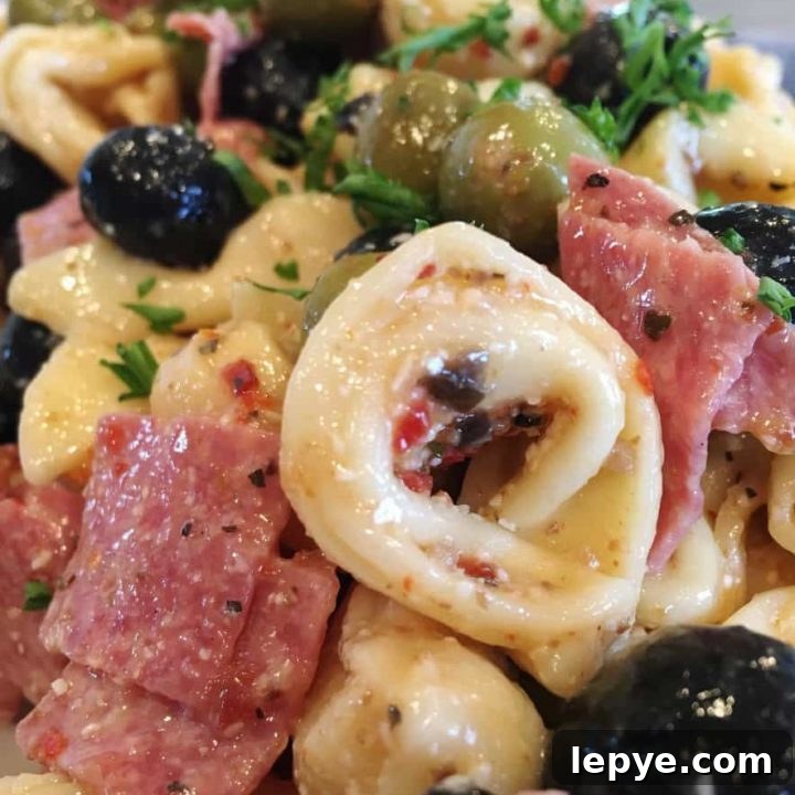 Tortellini Salad with Olives in a bowl.