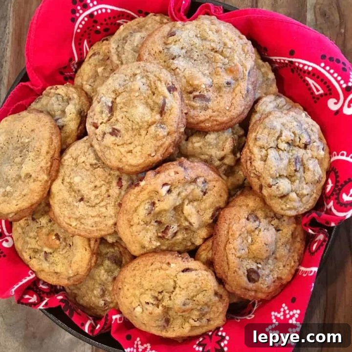 chocolate chip cookies