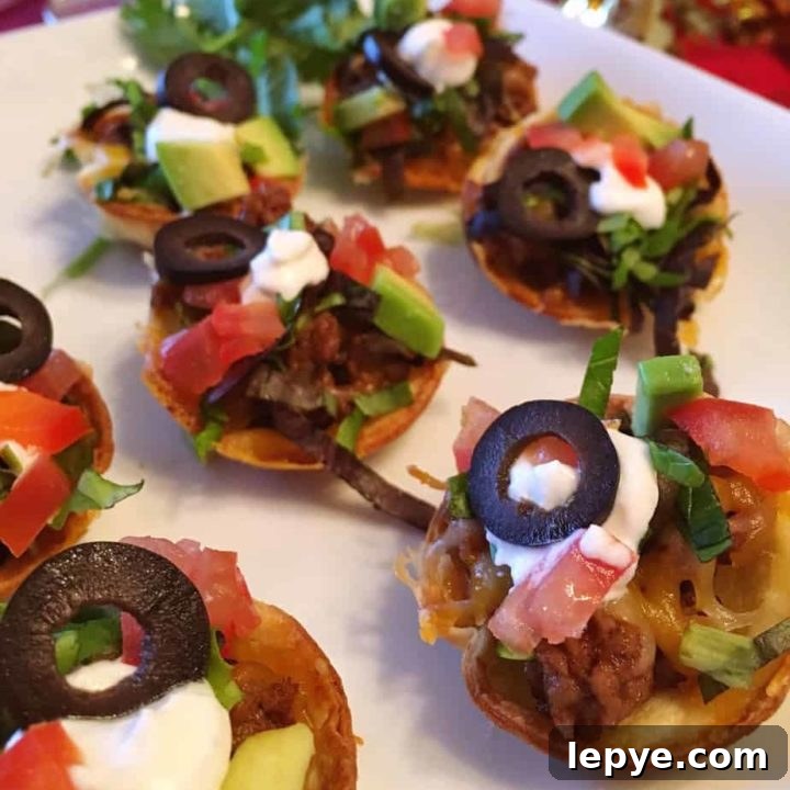 Mini Tostada Bites