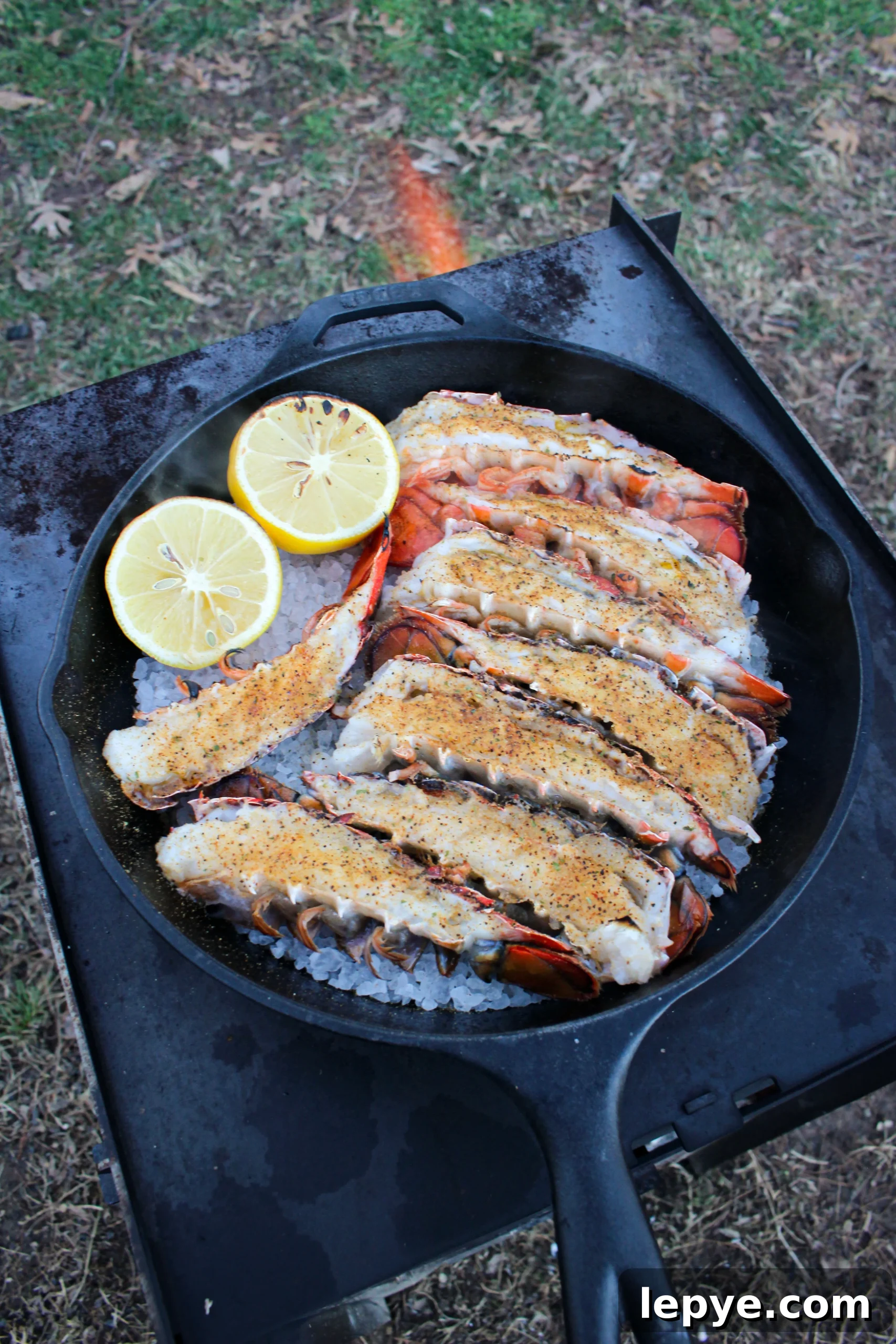 Parmesan Crusted Lobster Tails