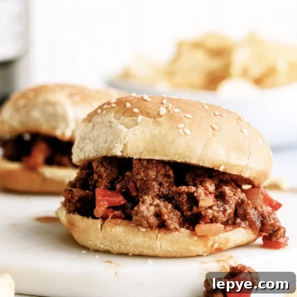 Freezer Meal Planning for Large and Small Families 5 Sloppy Joe on a plate with another sloppy joe in the background and a bowl of chips.