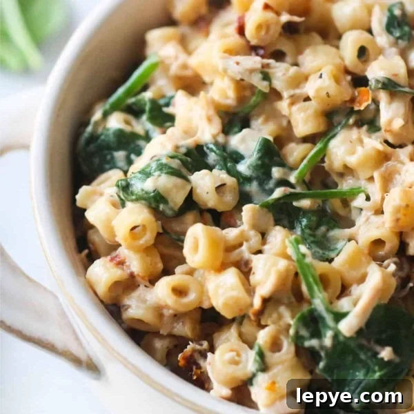 Freezer Meal Planning for Large and Small Families 6 Instant Pot Tuscan Chicken Pasta in a bowl