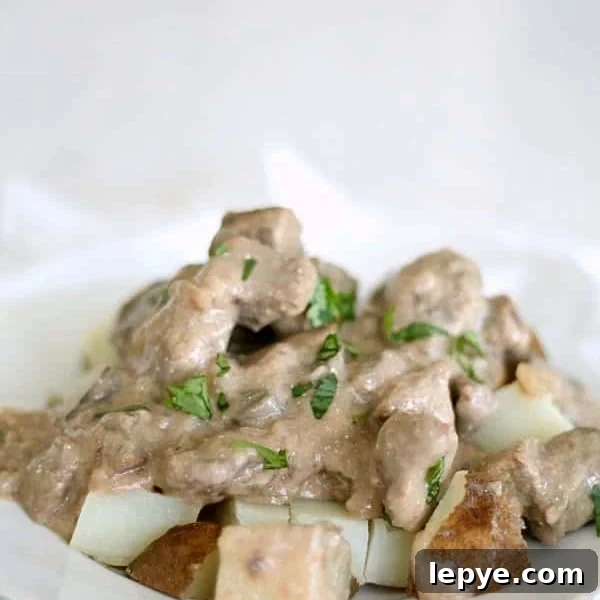 Freezer Meal Planning for Large and Small Families 7 img 140914 6