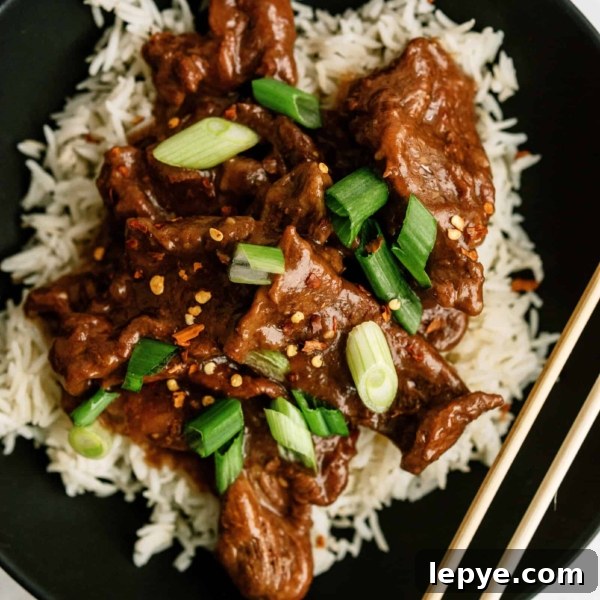Freezer Meal Planning for Large and Small Families 8 instant pot mongolian beef