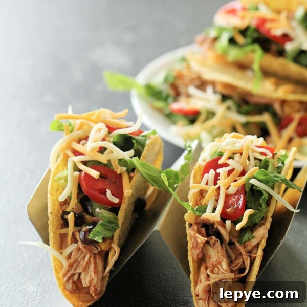 Freezer Meal Planning for Large and Small Families 10 slow cooker black bean and corn salsa chicken