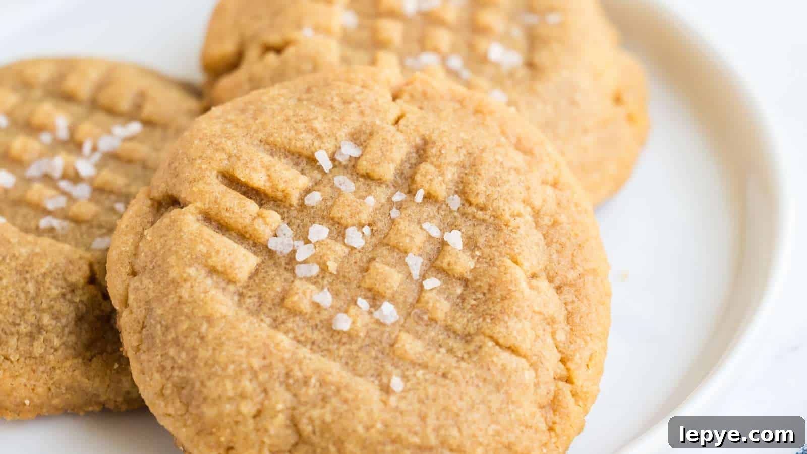 15 Peanut Butter Recipes to Transform Everyday Ingredients 4 Three Ingredient Peanut Butter Cookies