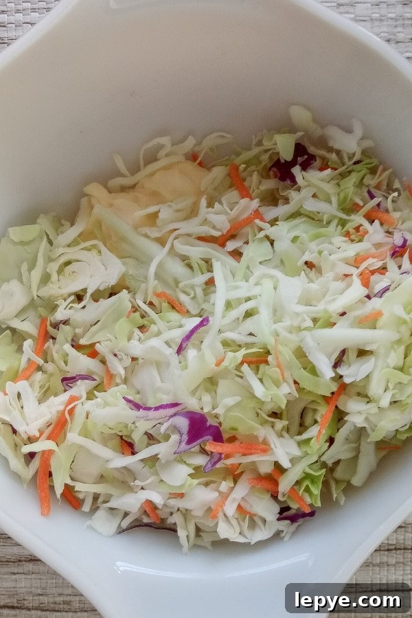 Creamy lemon dill coleslaw dressing coleslaw dressing recipe