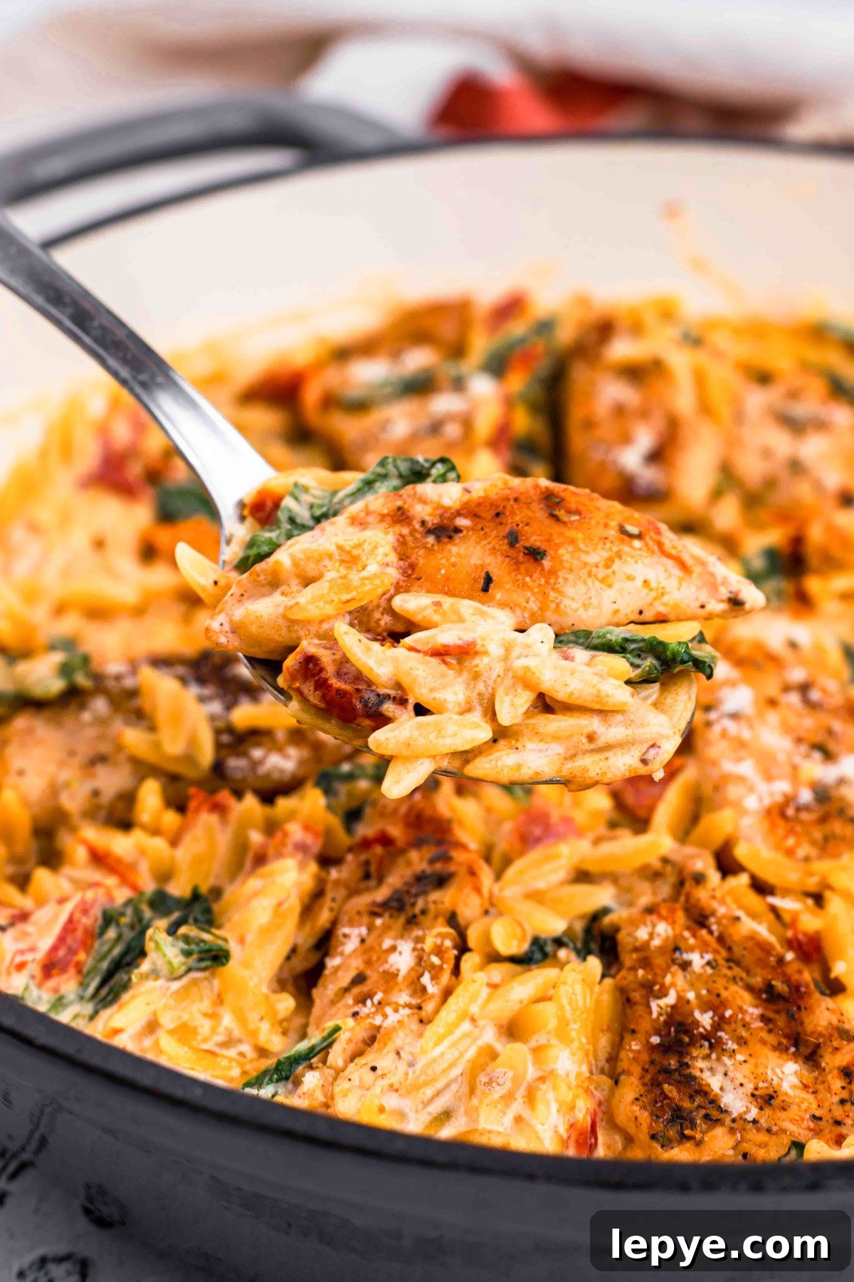 Sun-Dried Tomato Chicken Orzo