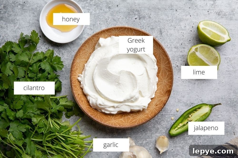 All of the ingredients for the cilantro sauce arranged on a work surface. 