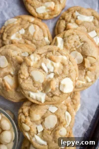 Fudgy Espresso Brownies for Small Batches 11 White Chocolate Macadamia Nut Cookies