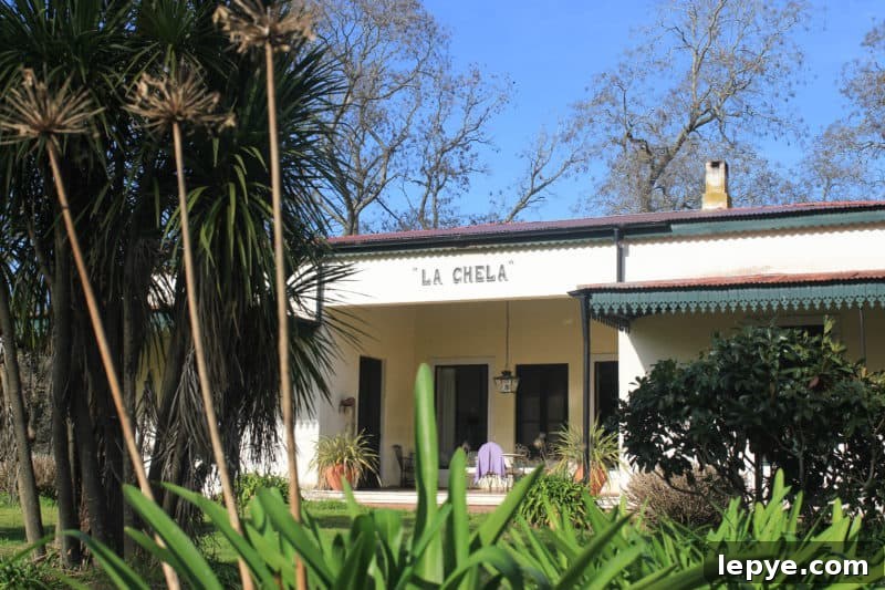 La Chela, Rauch: Travel Guide and Local Attractions 37 La Chela