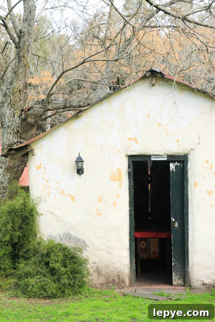 La Chela, Rauch: Travel Guide and Local Attractions 8 La Chela