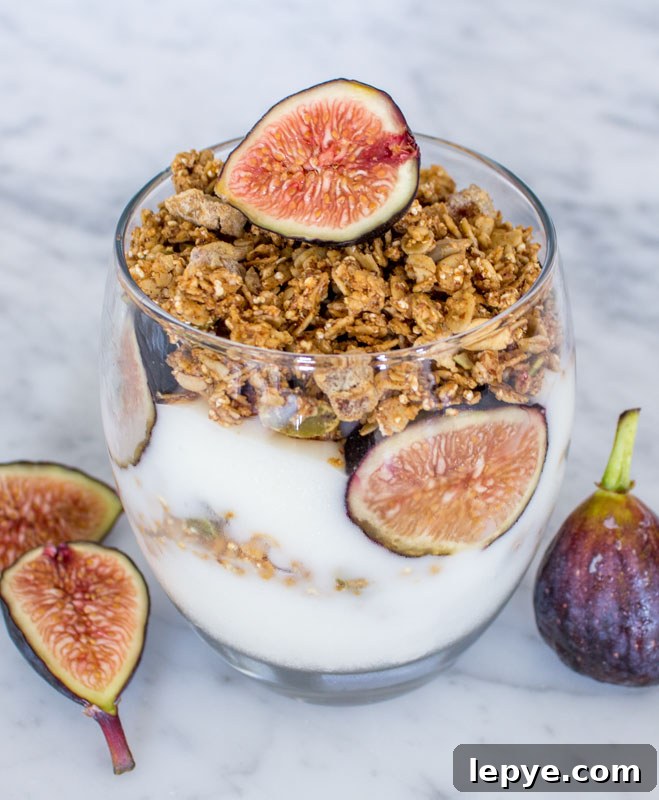 Fig Parfait Recipe: Layered Fig Yogurt Dessert for Summer 2 Fig Granola Parfait