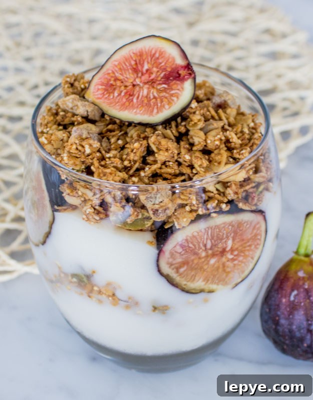 Fig Parfait Recipe: Layered Fig Yogurt Dessert for Summer 3 Fig Granola Parfait