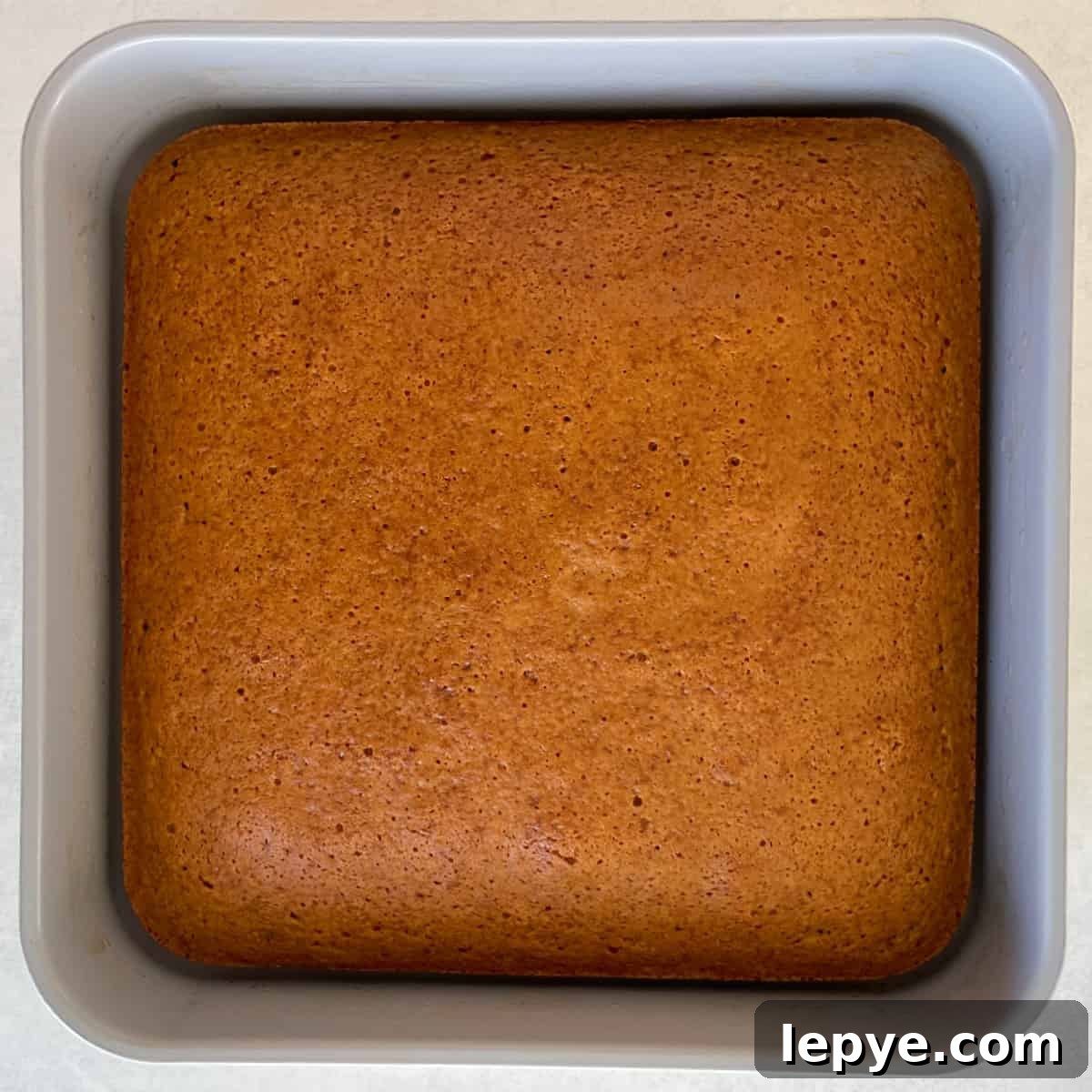 baked gingerbread cake in a pan.