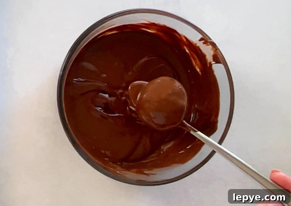 gingerbread cake ball dipped in chocolate.