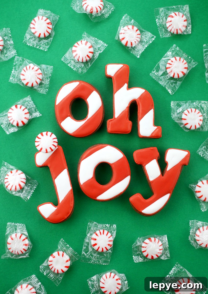 Christmas Letter Cookies: 4 Festive Ways to Decorate and Gift 11 Oh Joy Sugar Cookies