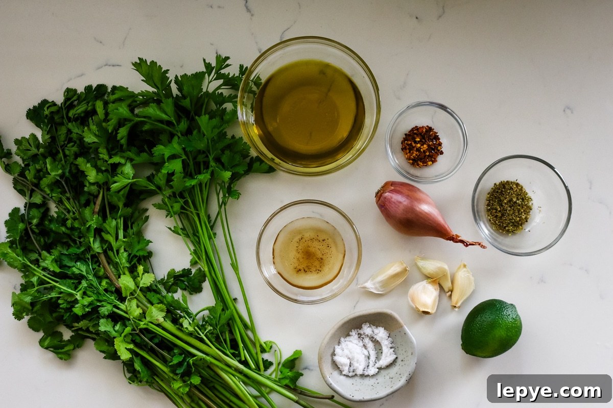 Cilantro Chimichurri Sauce Recipe — Fresh Herb Marinade for Grilled Meats 4 cilantro chimichurri sauce ingredients in glass bowls.