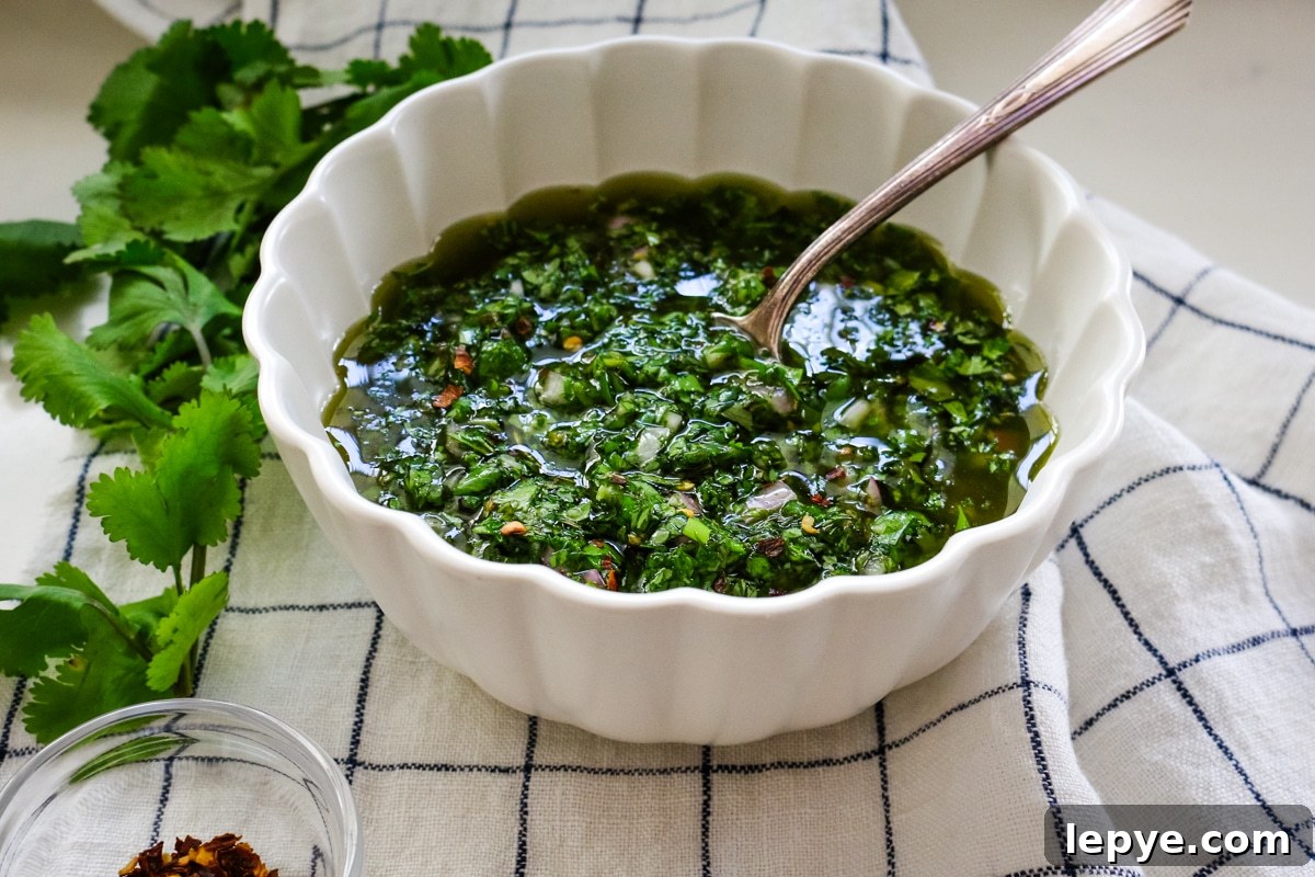 Cilantro Chimichurri Sauce Recipe — Fresh Herb Marinade for Grilled Meats 9 cilantro chimichurri sauce in bowl with metal spoon.