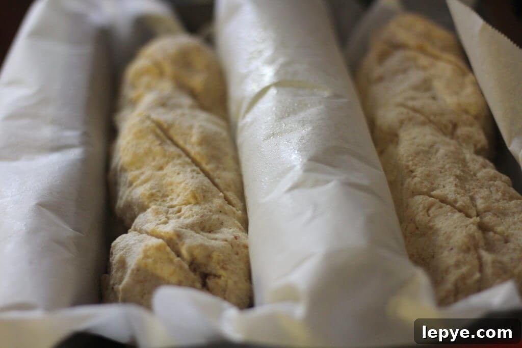 2 Baguettes rising