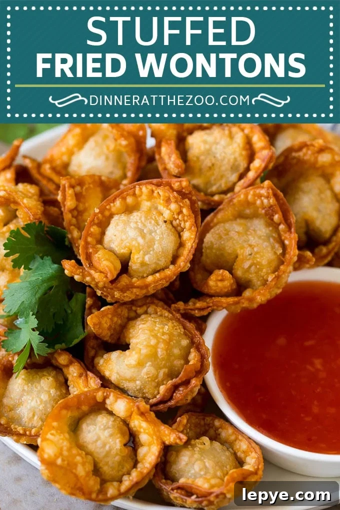 Fried Wonton Recipe #chinesefood #pork #appetizer #wontons #dinneratthezoo Fried Wonton Recipe #chinesefood #pork #appetizer #wontons #dinneratthezoo