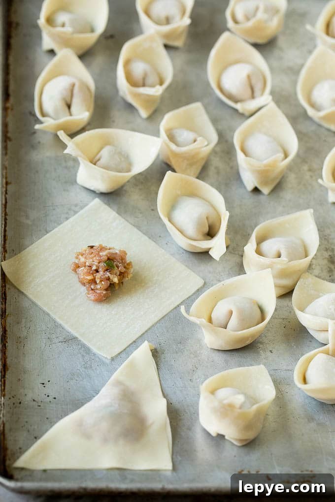 Fried Wonton Recipe #chinesefood #pork #appetizer #wontons #dinneratthezoo A wonton wrapper with a dollop of ground pork mixture inside.