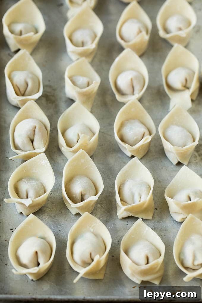 Fried Wonton Recipe #chinesefood #pork #appetizer #wontons #dinneratthezoo Folded wontons ready to go into the fryer.