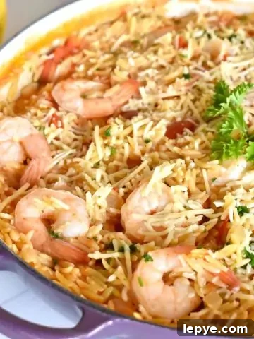 Shrimp Orzo