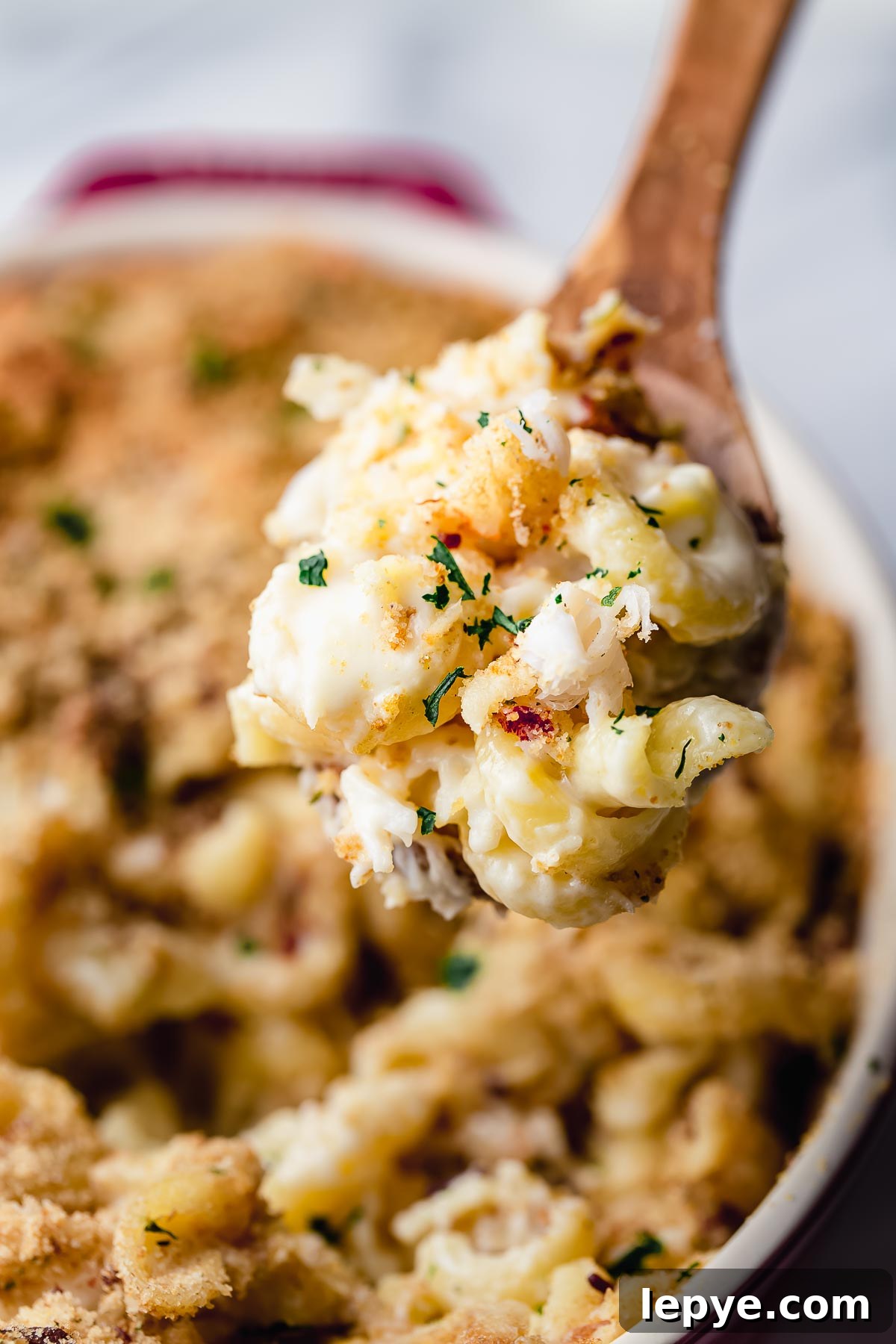 Creamy Lobster Macaroni and Cheese Recipe for Dinner 2 A spoonful of lobster mac and cheese.