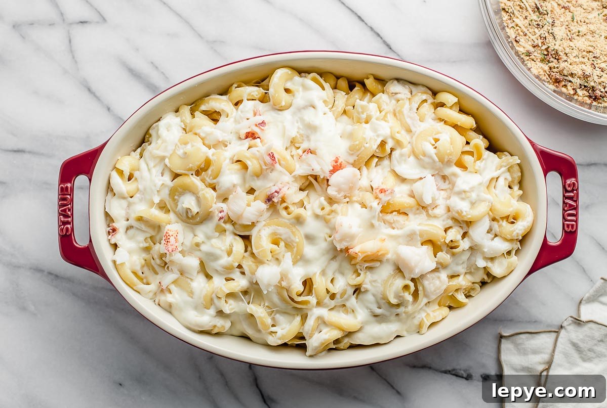 Creamy Lobster Macaroni and Cheese Recipe for Dinner 6 Lobster mac and cheese in a casserole dish.