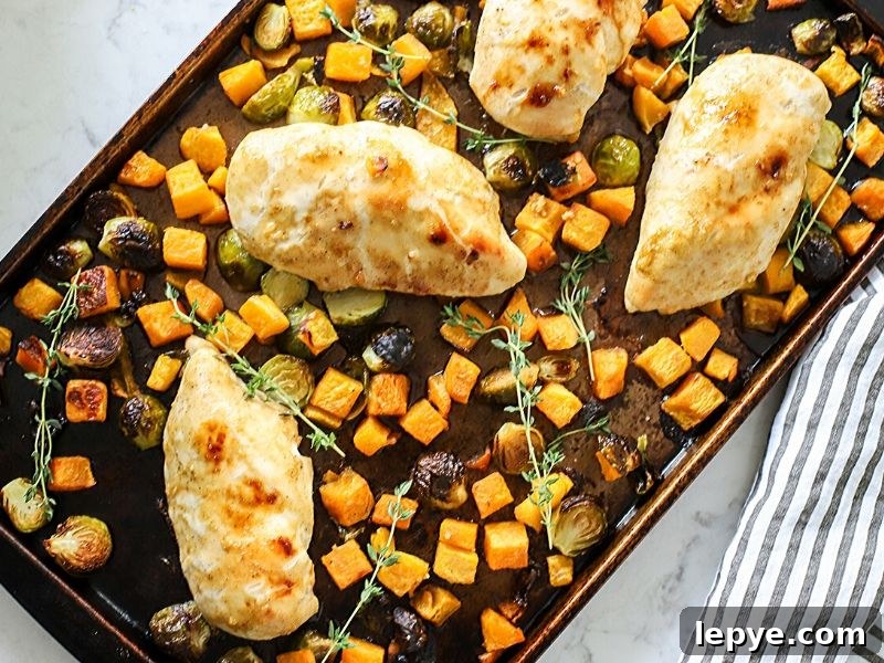 Sheet Pan Chicken with Roasted Butternut Squash 3 Chicken breast with butternut squash on a baking pan