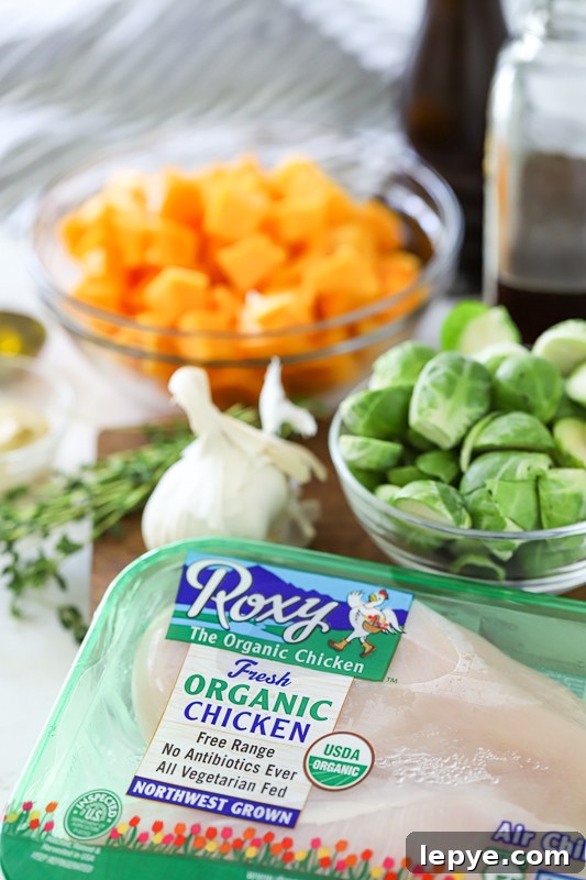 Sheet Pan Chicken with Roasted Butternut Squash 4 Packaged chicken with vegetables on the side.