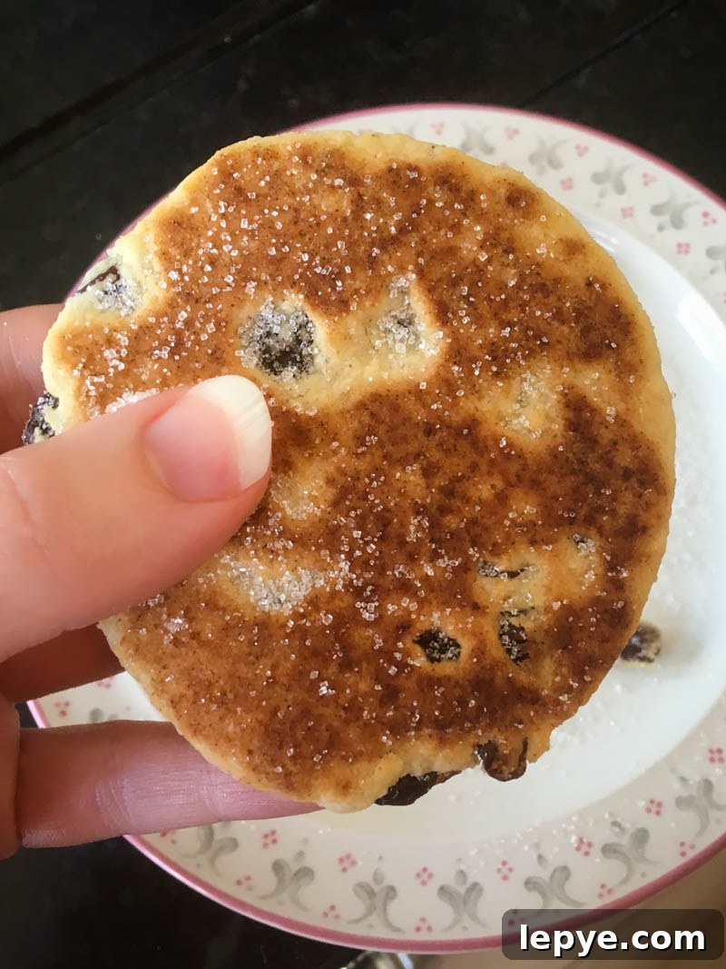 Easy Vegan Welsh Cakes