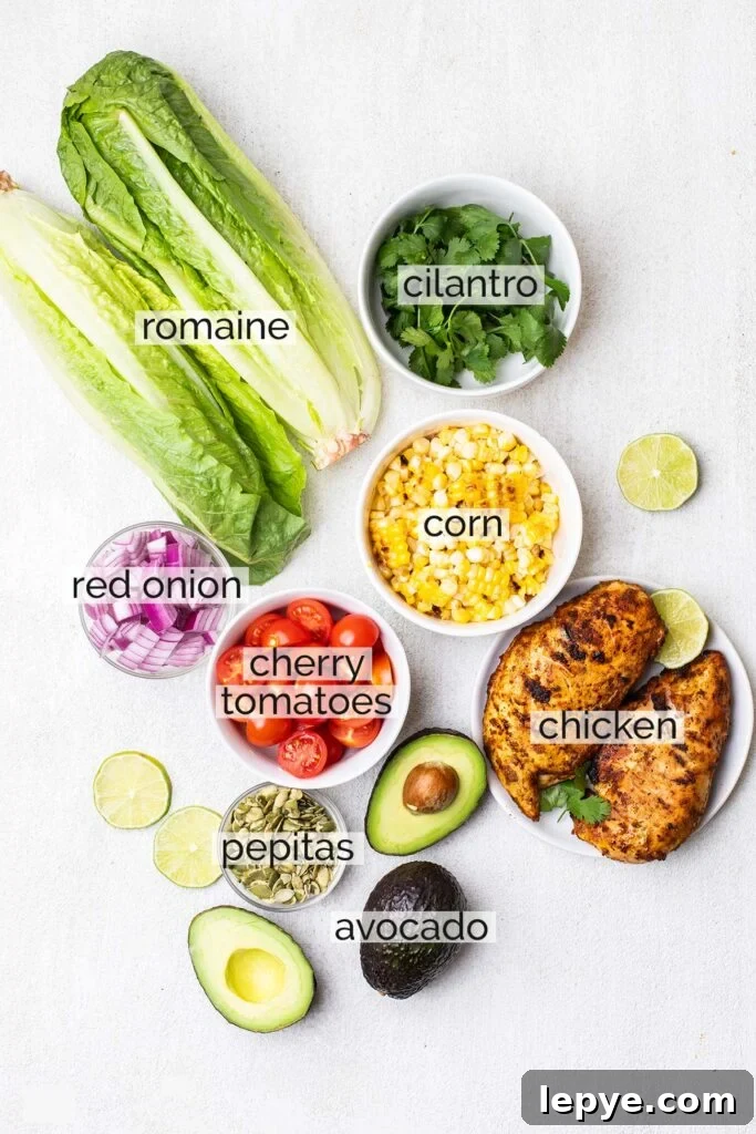 Ingredients needed to make a Mexican Chicken Salad.