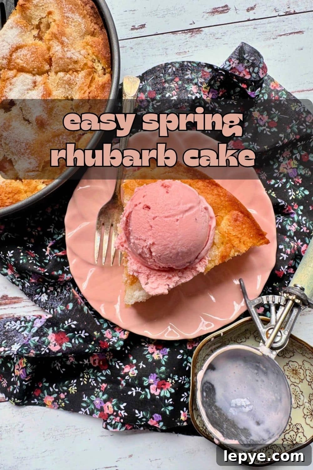 My easy rhubarb cake recipe is perfect for fresh spring rhubarb. The cake has a tender crumb and a pretty sugar crusted top.