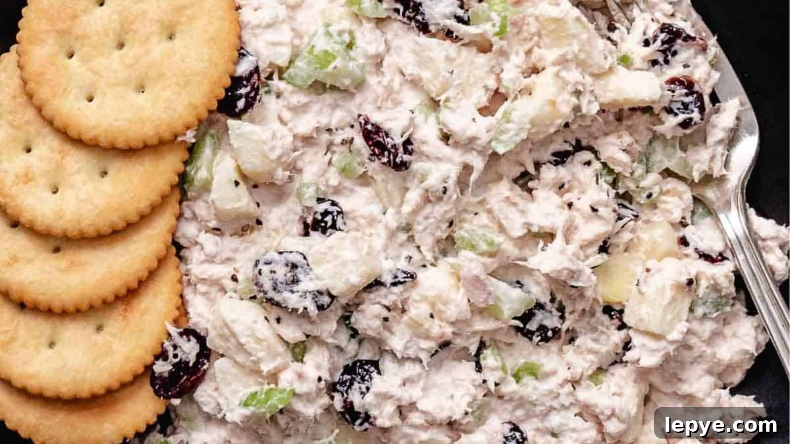 16 Festive Winter Salads Featuring Cranberry Flavors for Every Celebration 10 Cranberry Apple Tuna Salad