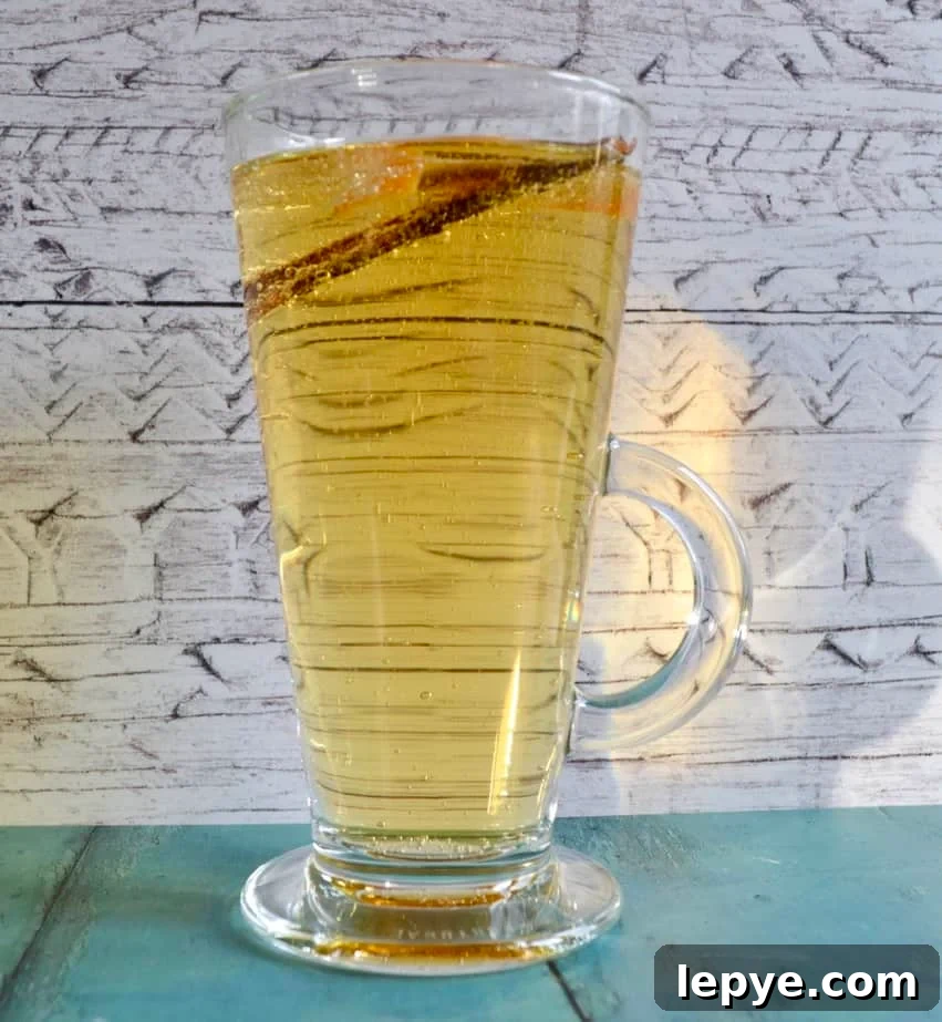10 Gluten- and Dairy-Free Apple Recipes for Every Occasion 10 mulled apple