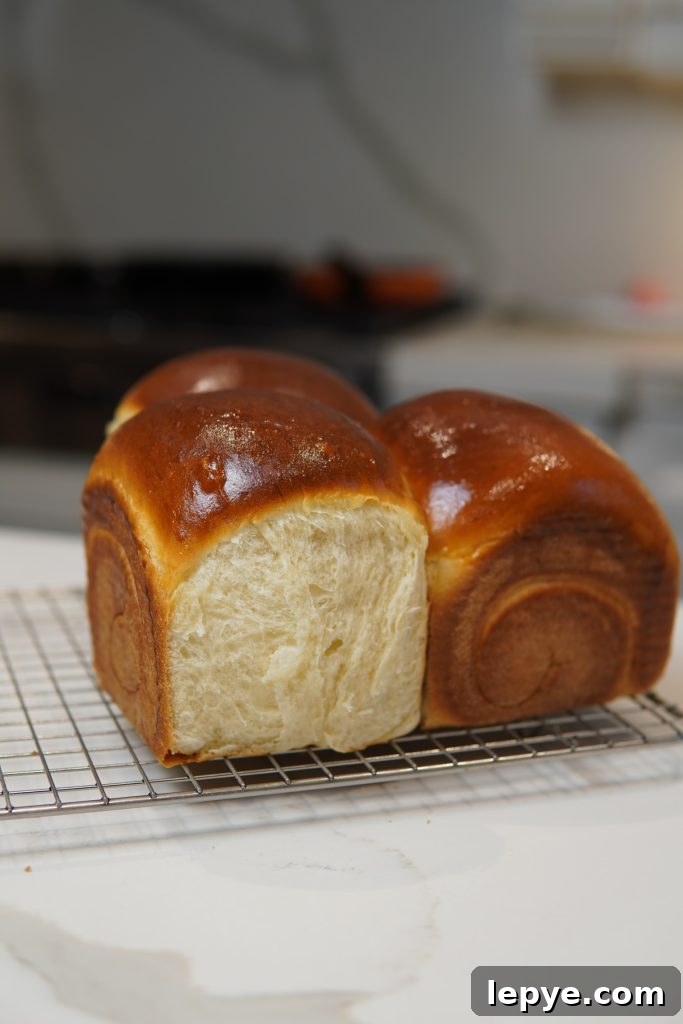 Recommended bread: shokupan or brioche