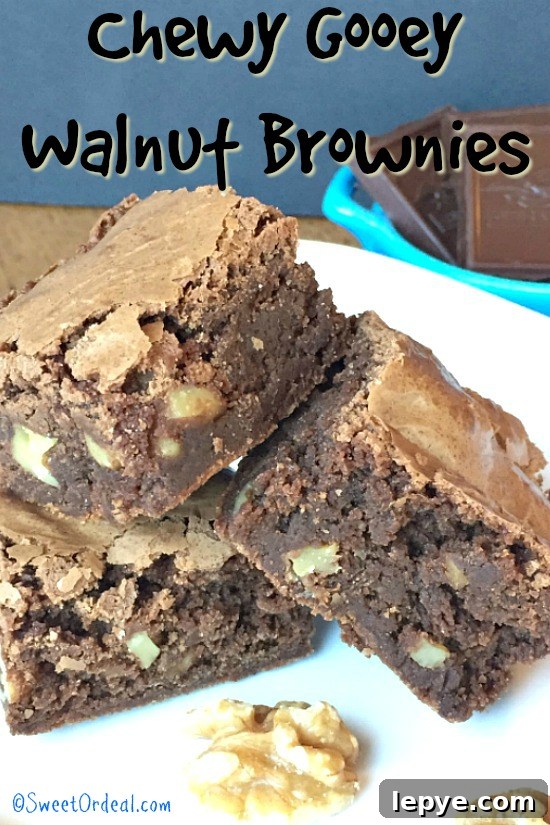 Chewy Walnut Brownies with Gooey Chocolate Center 2 brownies on plate promo image