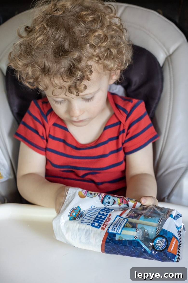 PAW Patrol Cheese