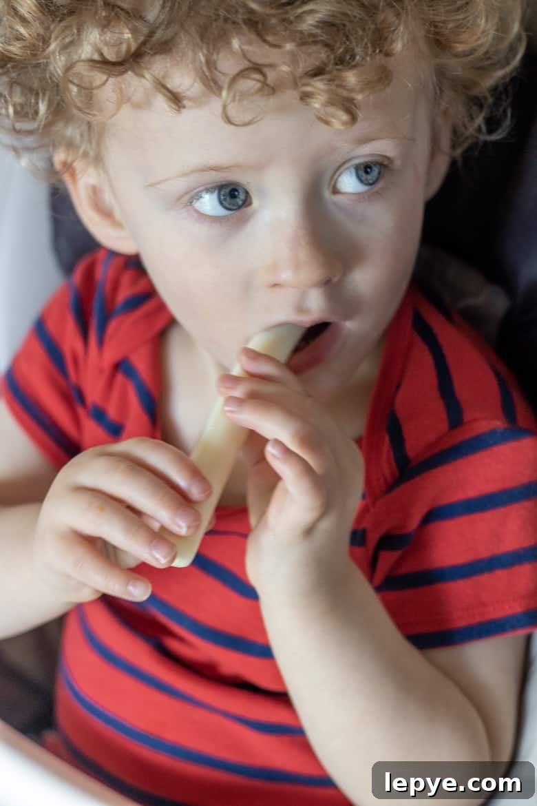 Sting Cheese Snack
